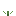 Etapa 1